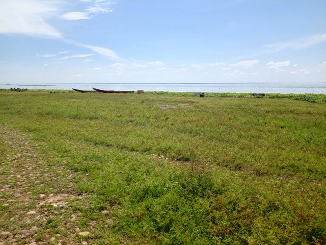 IMG_20251005_101827_305.jpg