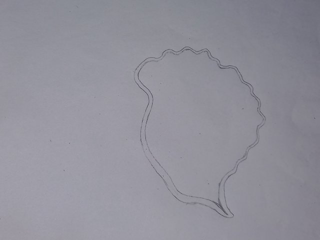 20251016_215144.jpg