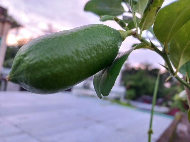 20230903_175803.jpg
