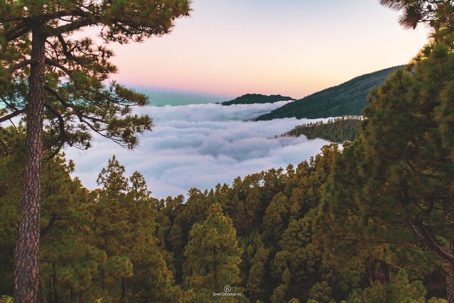 seaclouds_javiersebastian_lapalma_islascanarias_2017_5788.jpg