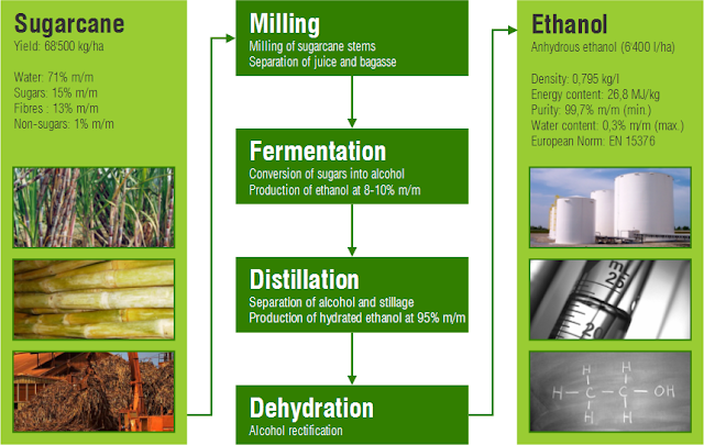 bioethanol_sugarcane.png