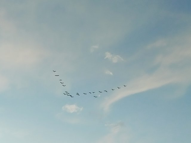 IMG20250528181756.jpg