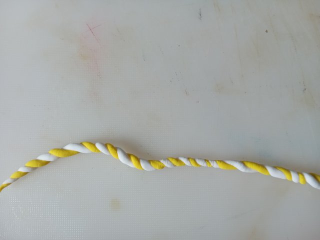 20250521_121141.jpg