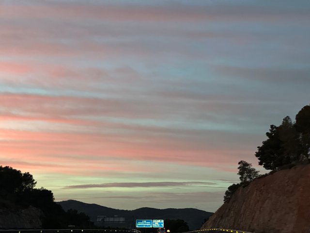 IMG_2535.jpeg