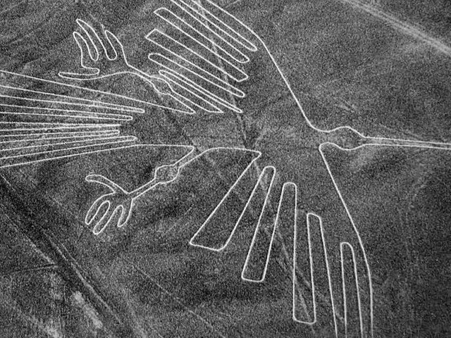 nazca_bird_aerial.jpg