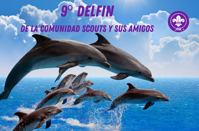 9no Delfin.png