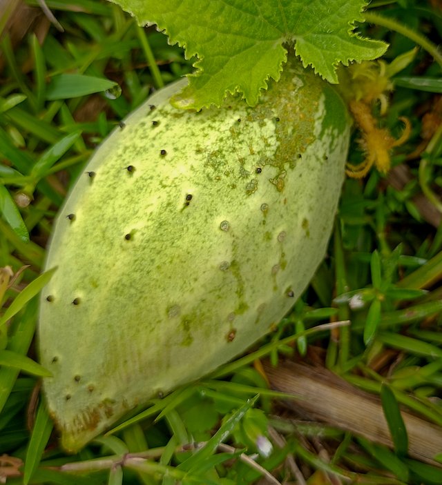 IMG20240329104905.jpg