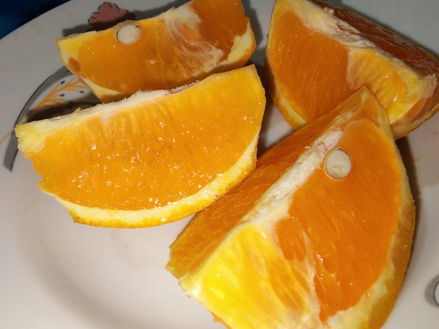 4166.jpg