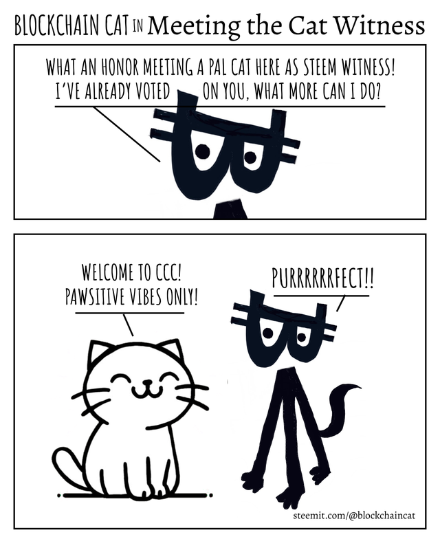 Blockchain cat - Meeting the cat witness.png
