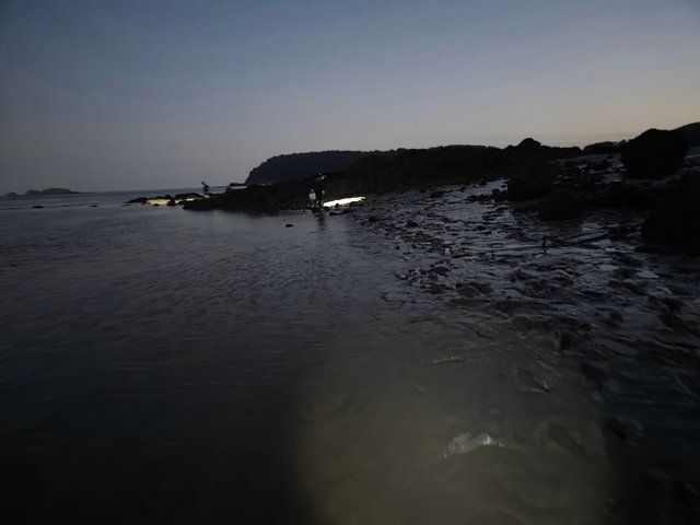 20250806_201825.jpg