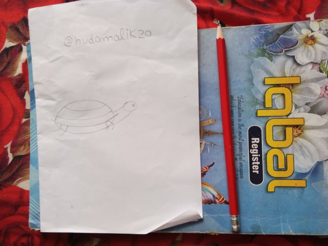 1000018569.jpg