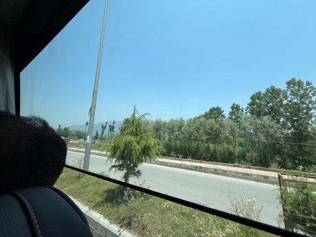 IMG_3802.jpeg