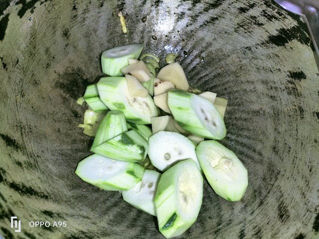 IMG_20250717_140815.jpg