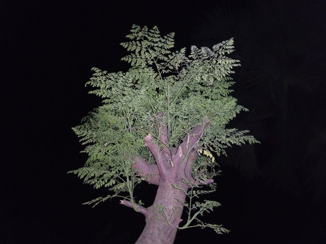 IMG_20240428_230505_953.jpg