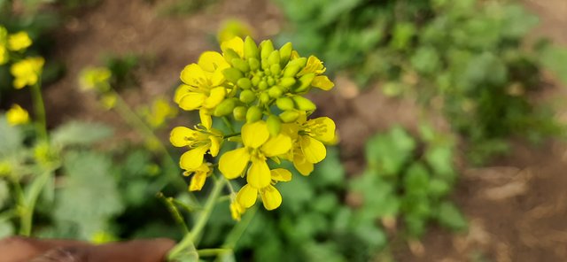 20220123_124017.jpg