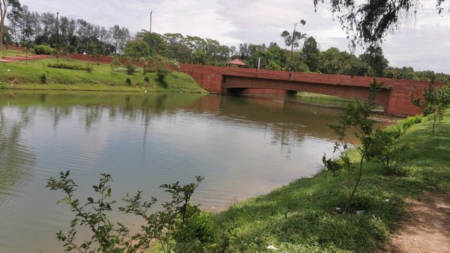 IMG_20240526_121829.jpg