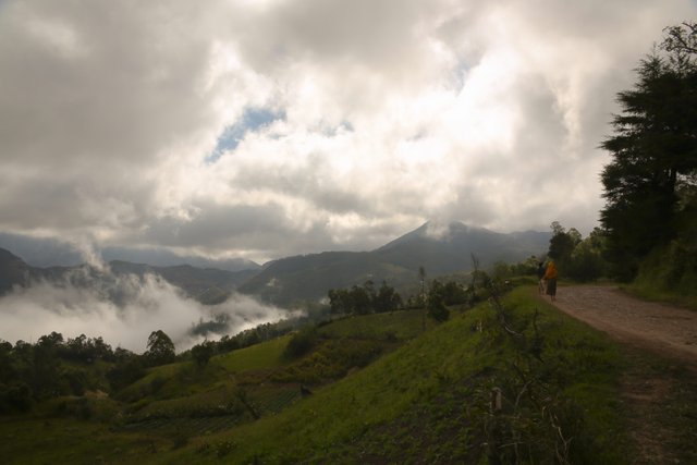 P lonely road, Timor-Leste.jpg