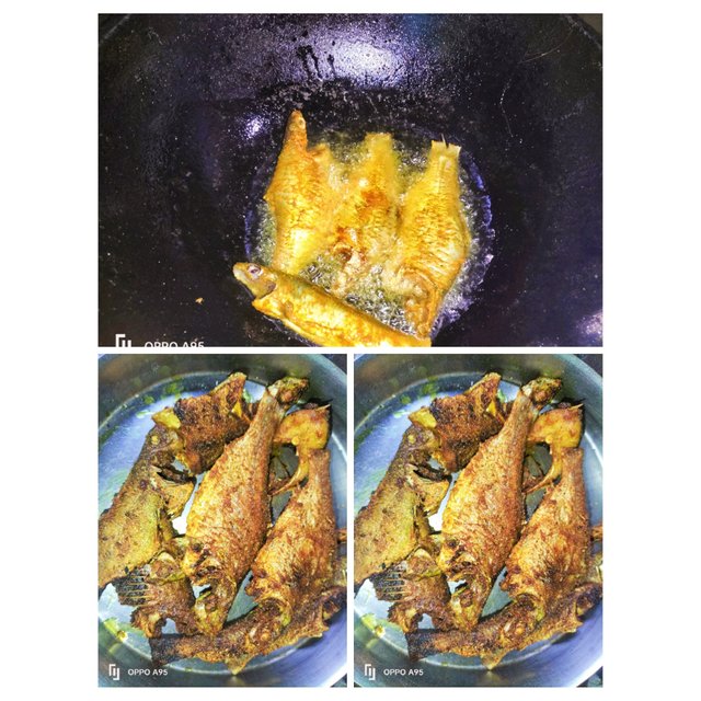 PhotoCollage_1749803101797.jpg