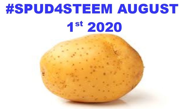 SPUD4STEEM AUGUST 1.jpg