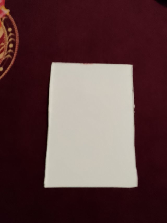 1000051495.jpg