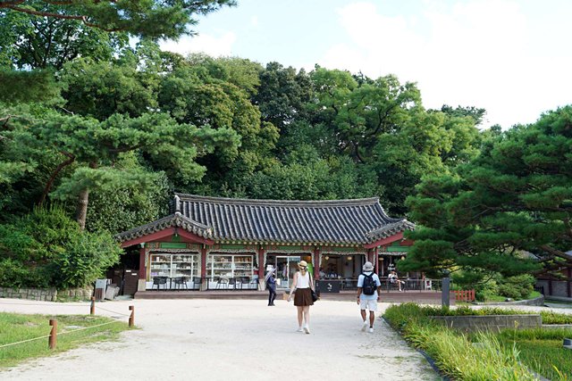 b-DSC00785.JPG