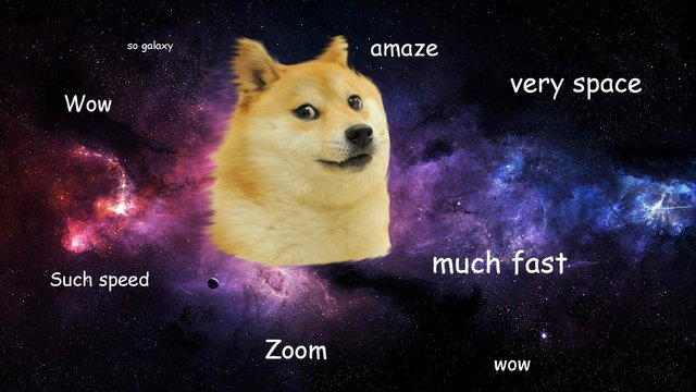 DOGE.jpg