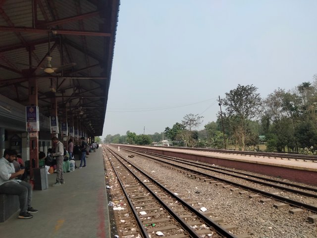 IMG20250311110243.jpg