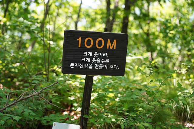 b-DSC07486.JPG