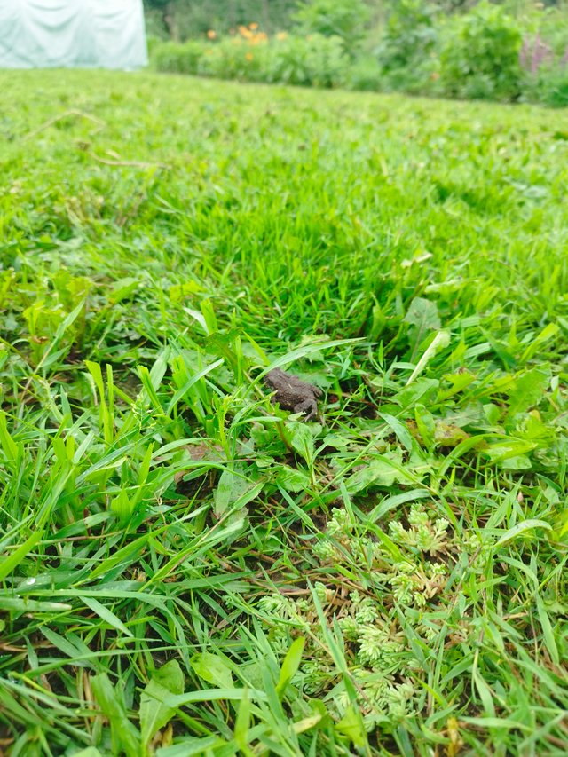 IMG_20250718_101944.jpg