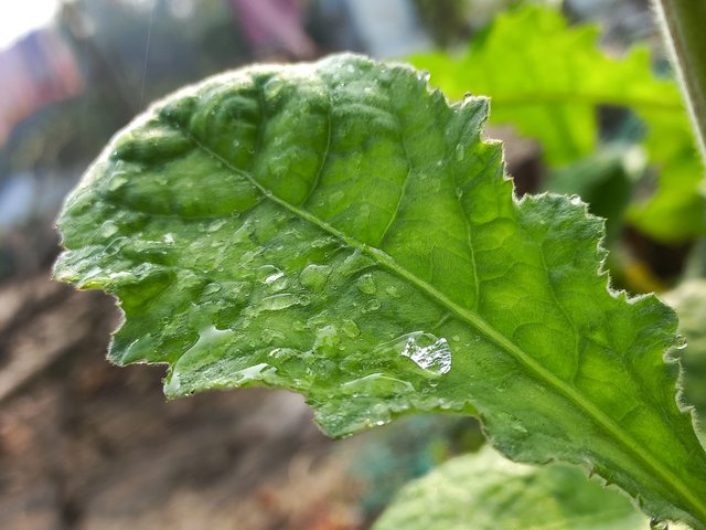 20240119_095041.jpg