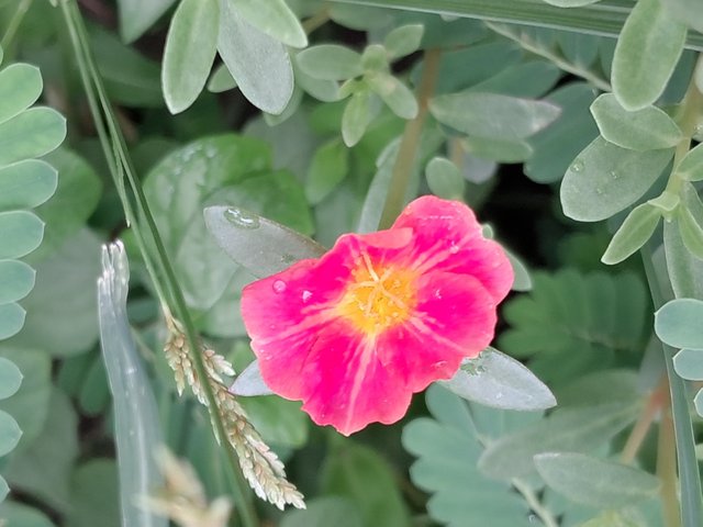 20250620_153350.jpg