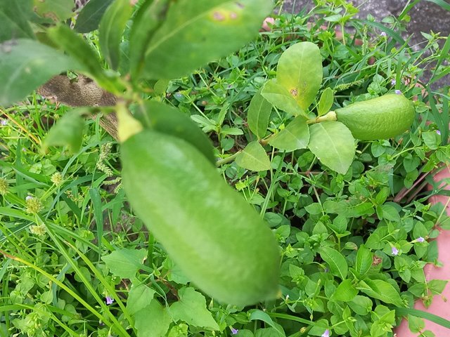 20230903_175933.jpg