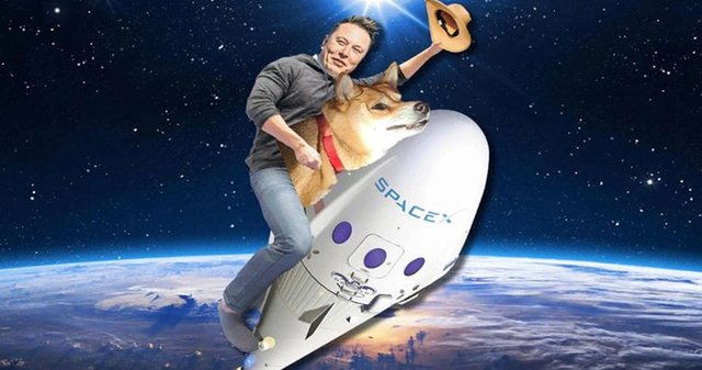 elon-musk-dogecoin.jpg