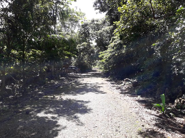 20181021_115351.jpg