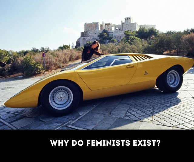 why do feminists exist?2.jpg