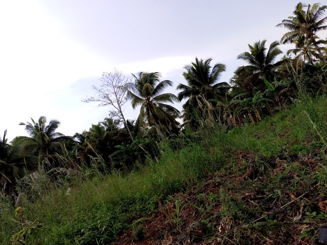 IMG_20230802_172124_524.jpg