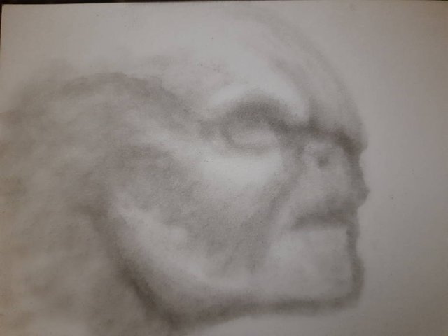 20250716_105152.jpg