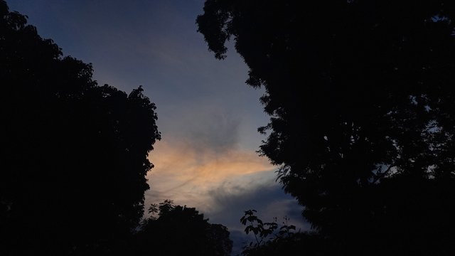 20231014_181039.jpg