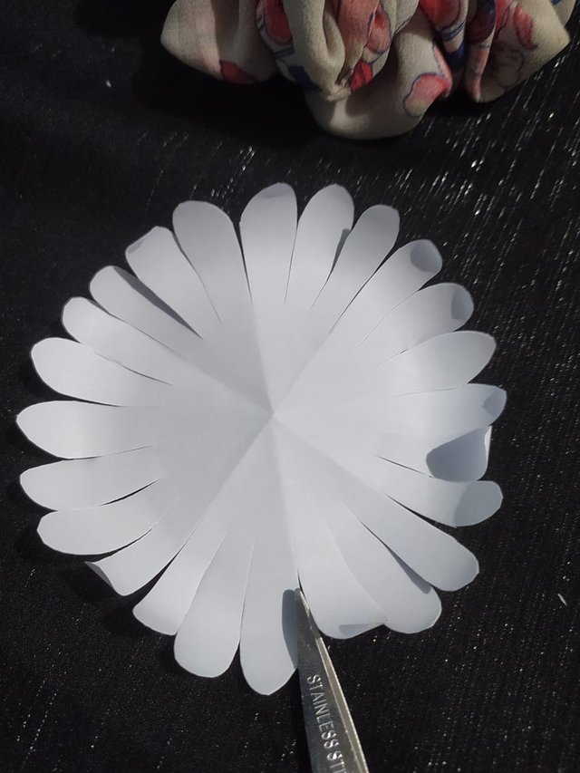 1000013036.jpg