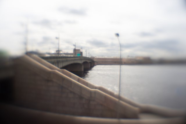 DSC05017.jpg
