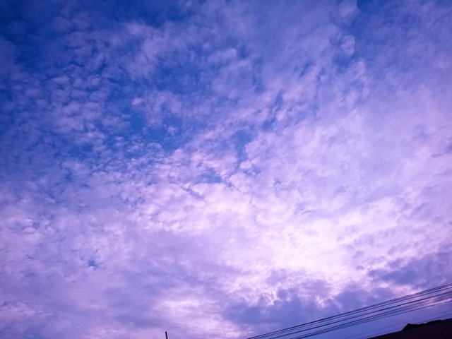 IMG_20250508_174700.jpg