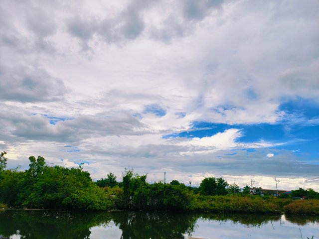 IMG_20250706_084549.jpg