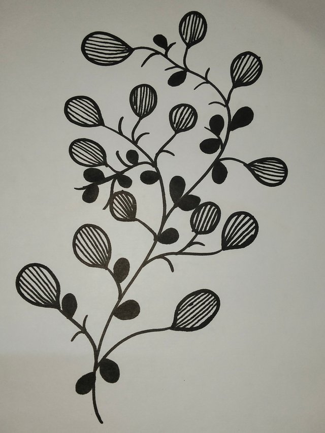 IMG20250806142005.jpg