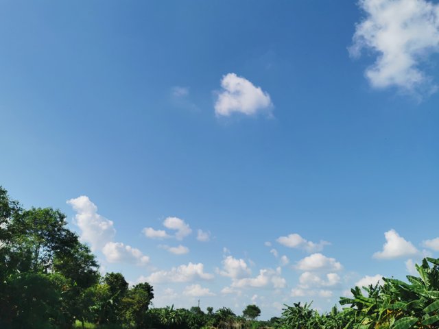 IMG_20240829_151634.jpg