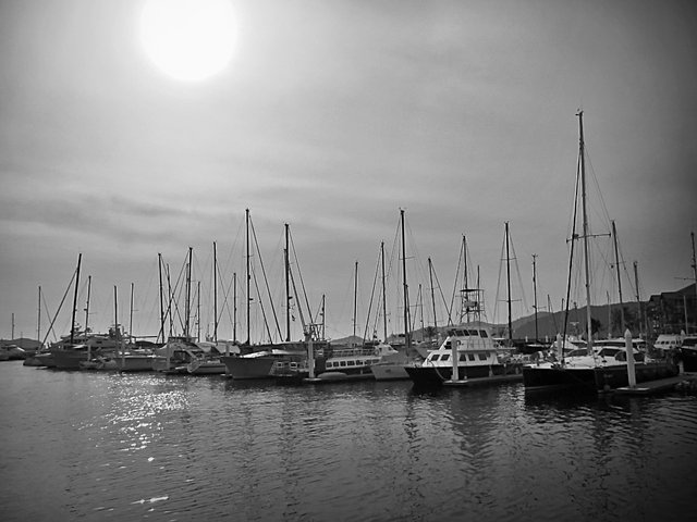 Sailboat B&W.jpg