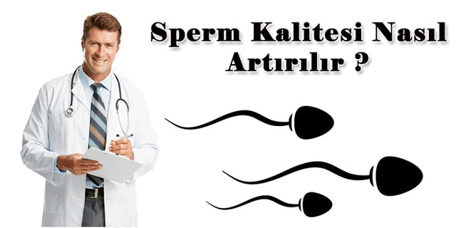 sperm kalitesi nasıl artar.jpg