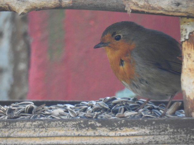 DSCN1188.JPG