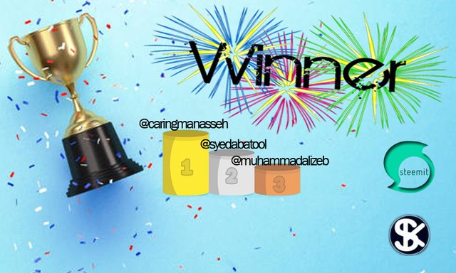 steem hobbies winner contest.jpg