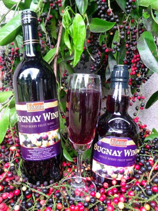 Bugnay Wines.jpg