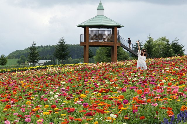Japan-Hokkaido12802-997.jpg